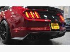 Thumbnail Photo 59 for 2018 Ford Mustang Shelby GT350